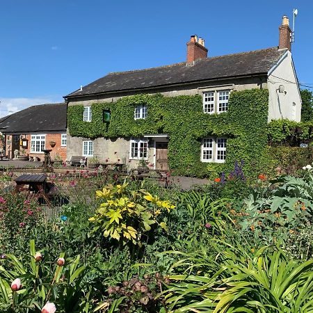 The Coppleridge Inn Motcombe Dış mekan fotoğraf